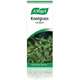 Knotgrass