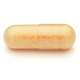 Lamberts Pycnogenol 40mg (60)