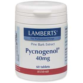 Lamberts Pycnogenol 40mg (60)