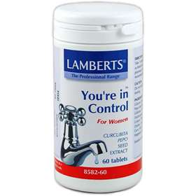 Lamberts You're In Control