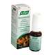 A. Vogel Dentaforce Mouthspray 15ml