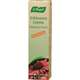 A. Vogel Echinacea Cream