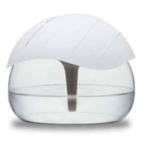 Goodsphere Bubble