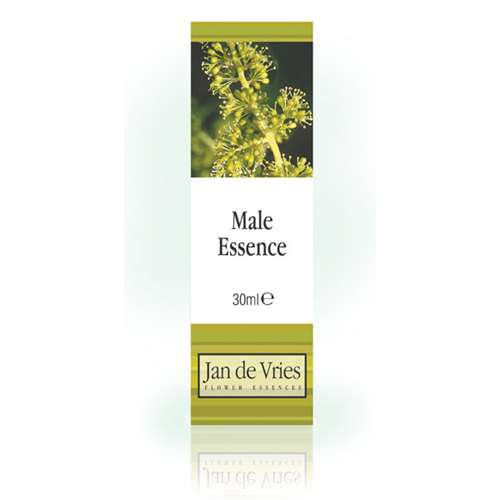 Bioforce Male Essence 30ml