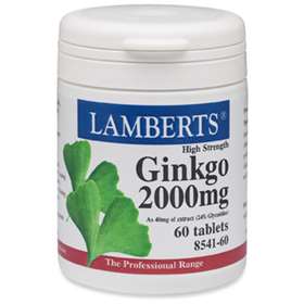 Lamberts Ginkgo Biloba 2000mg 60 tablets