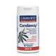 Lamberts Candaway (60)