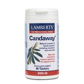 Lamberts Candaway 60 Tablets