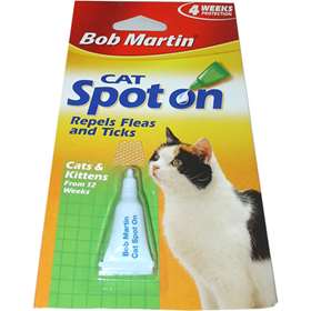 Cat - Spot On