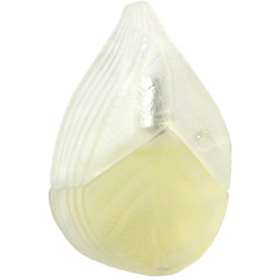 Kenzo D'Ete EDP 25ml spray