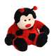 Cozy Plush Soft Toys