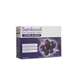 Sambucol Black Elderberry Extract One-A-Day Capsules 24