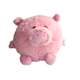PillowHeads Chubbies Pig