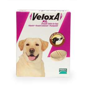 Veloxa Chewable Worm Treatment XL Tablets For Dogs Beef Flavour 4