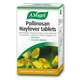 A. Vogel Pollinosan 80 Tablets