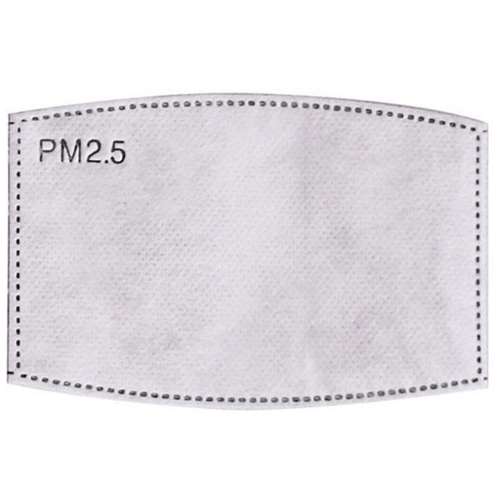 Reusable Face Mask Filter x 1 ExpressChemist.co.uk Buy Online