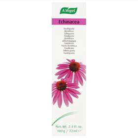 A. Vogel Echinacea Toothpaste 100g