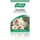 Aesculus Tincture Tablets 20mg 60x