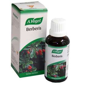 A. Vogel Berberis 50ml