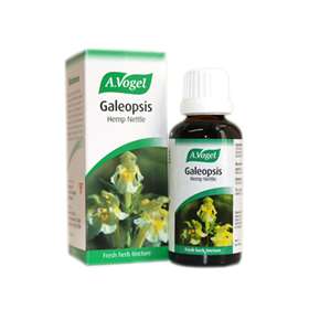 Galeopsis 50ml