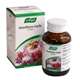 A. Vogel Hawthorn-Garlic Complex 150