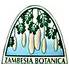 Zambesia Botanica