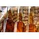Argan Oil