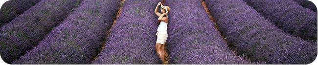 image Lavender