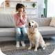 Pet Allergy