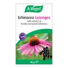 A. Vogel Echinacea Lozenges 30g