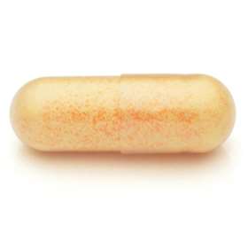 Lamberts Pycnogenol 40mg (60)