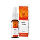 Jan de Vries Bowel Essence 30ml