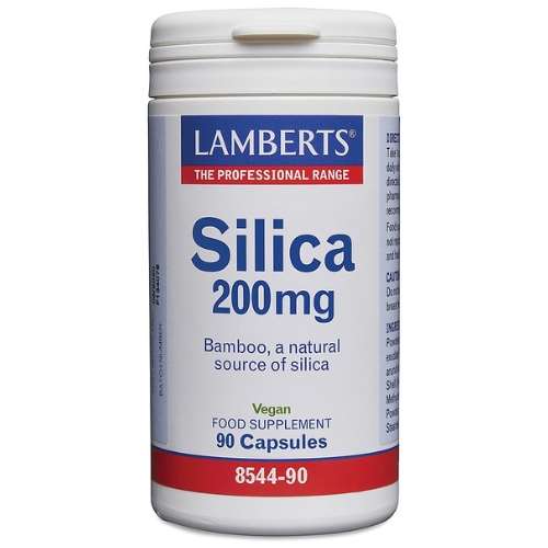 Lamberts Silica 200mg (90)