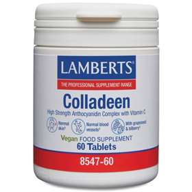 Lamberts Maximum Strength Colladeen 60