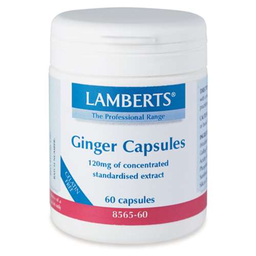 Lamberts Ginger (60)