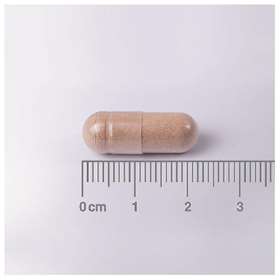 Lamberts L-Theanine 200mg Vegan (60)