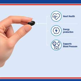 Lamberts Co-Enzyme Q10 100mg (60)