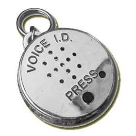 Voice ID Tag