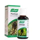 A. Vogel Plantago 50ml