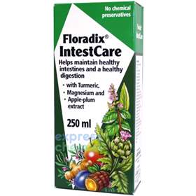 Floradix IntestCare 250ml