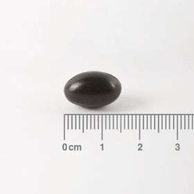 Lamberts Omega 3 Berry Bursts For Kids 60