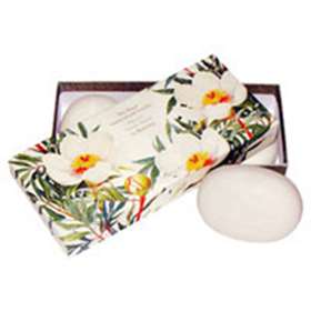 Bronnley Royal Horticultural Society Peony Bath Soaps 100g x 3
