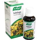 A. Vogel Solidago Complex 50ml