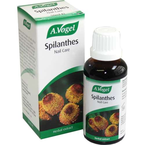 A. Vogel Spilanthes 50ml