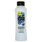 Alberto Balsam Anti-oxidant Blueberry Conditioner 400ml