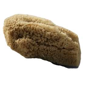 Beaming Baby Large Natural Baby Sea Sponge