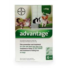 Advantage Flea Prevention and Treatment Solution 4 x 0.4ml