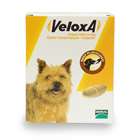 Veloxa Chewable Worm Treatment Tablets For Dogs Beef Flavoured x 2