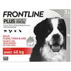 Frontline Plus Spot On Dog XL (Over 40Kg) 3 Pipettes