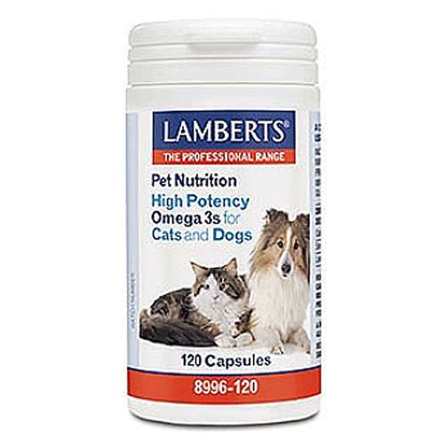 Click to view product details and reviews for Lamberts Pet Nutrition High Potency Omega 3s For Cats And Dogs 120 Capsules. Click to view product details and reviews for Lamberts Pet Nutrition High Potency Omega 3s For Cats And Dogs 120 Capsules.