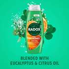Radox Feel Refreshed Eucalyptus & Citrus Scent  Shower Gel 225ml